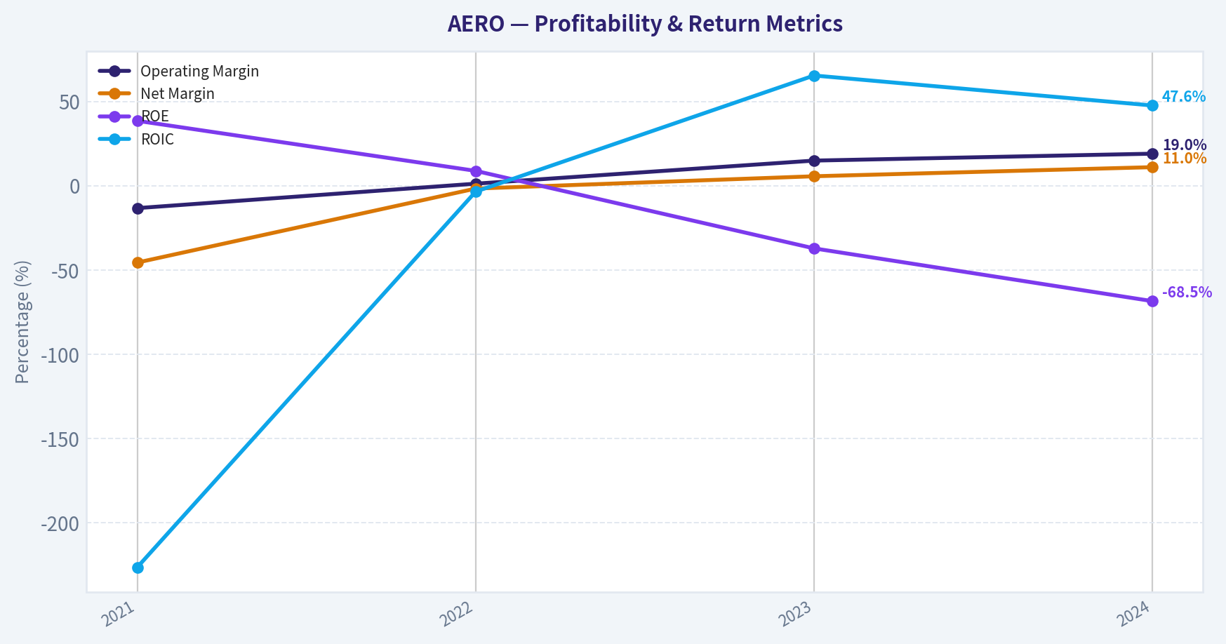 Profitability Trends (2021-2024)