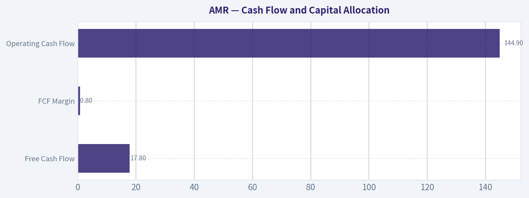 Cash Flow and Capital Allocation
