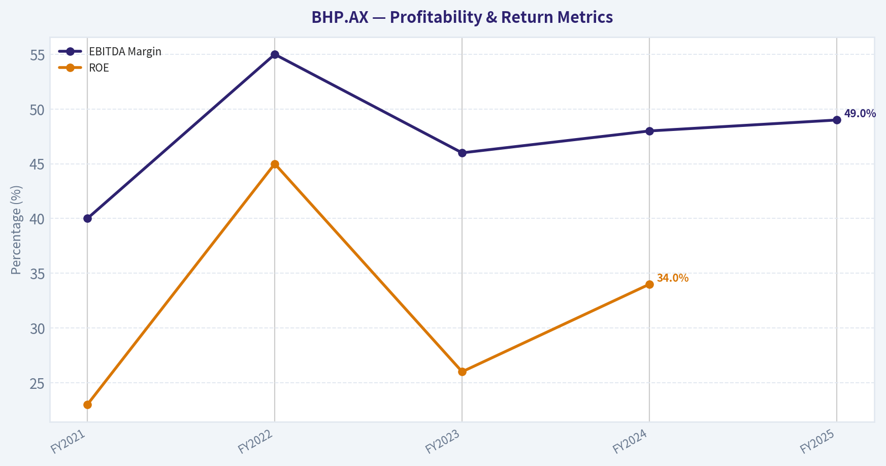 Year Financial Snapshot (Approximate) (Profitability)