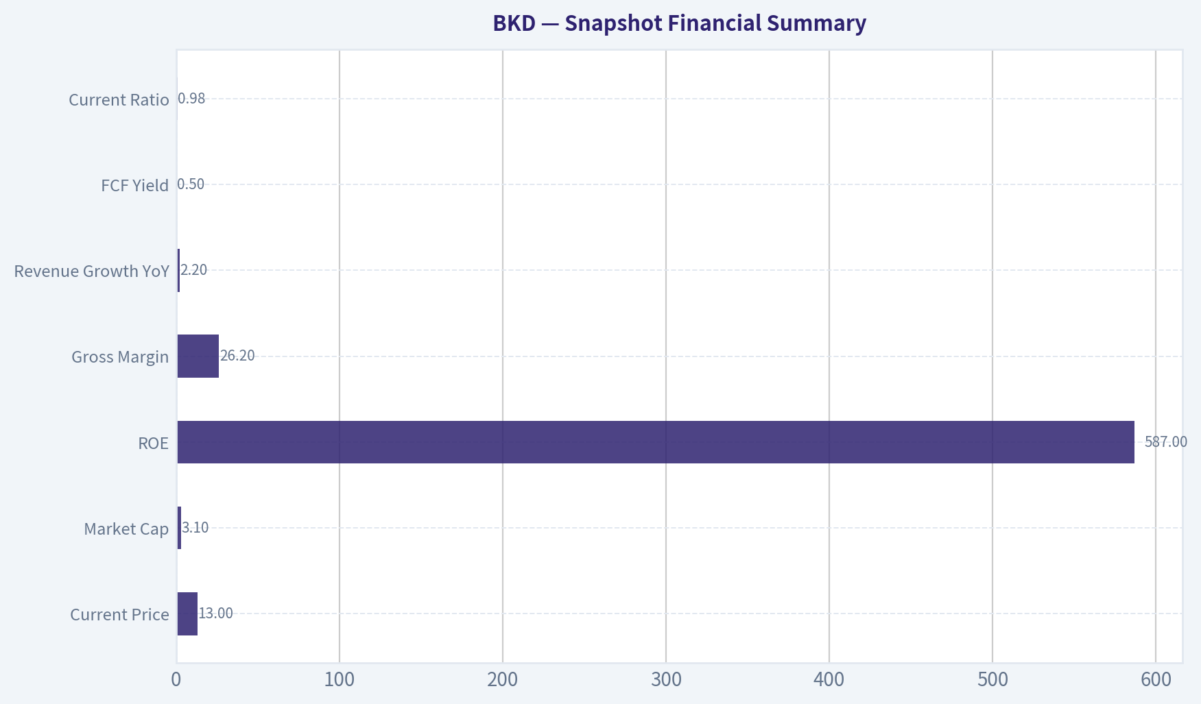 Snapshot Financial Summary