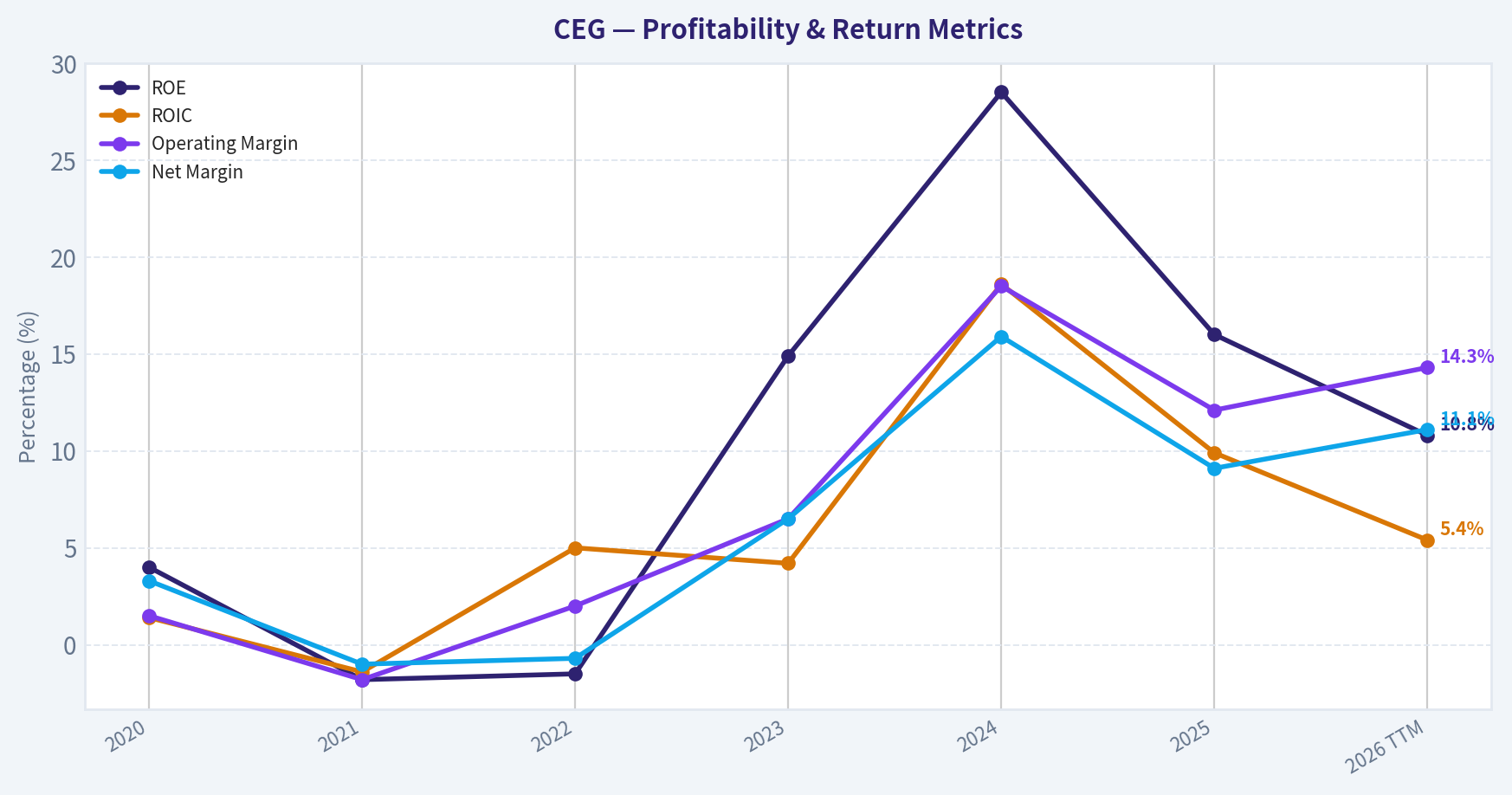Year Financial Metrics (Profitability)