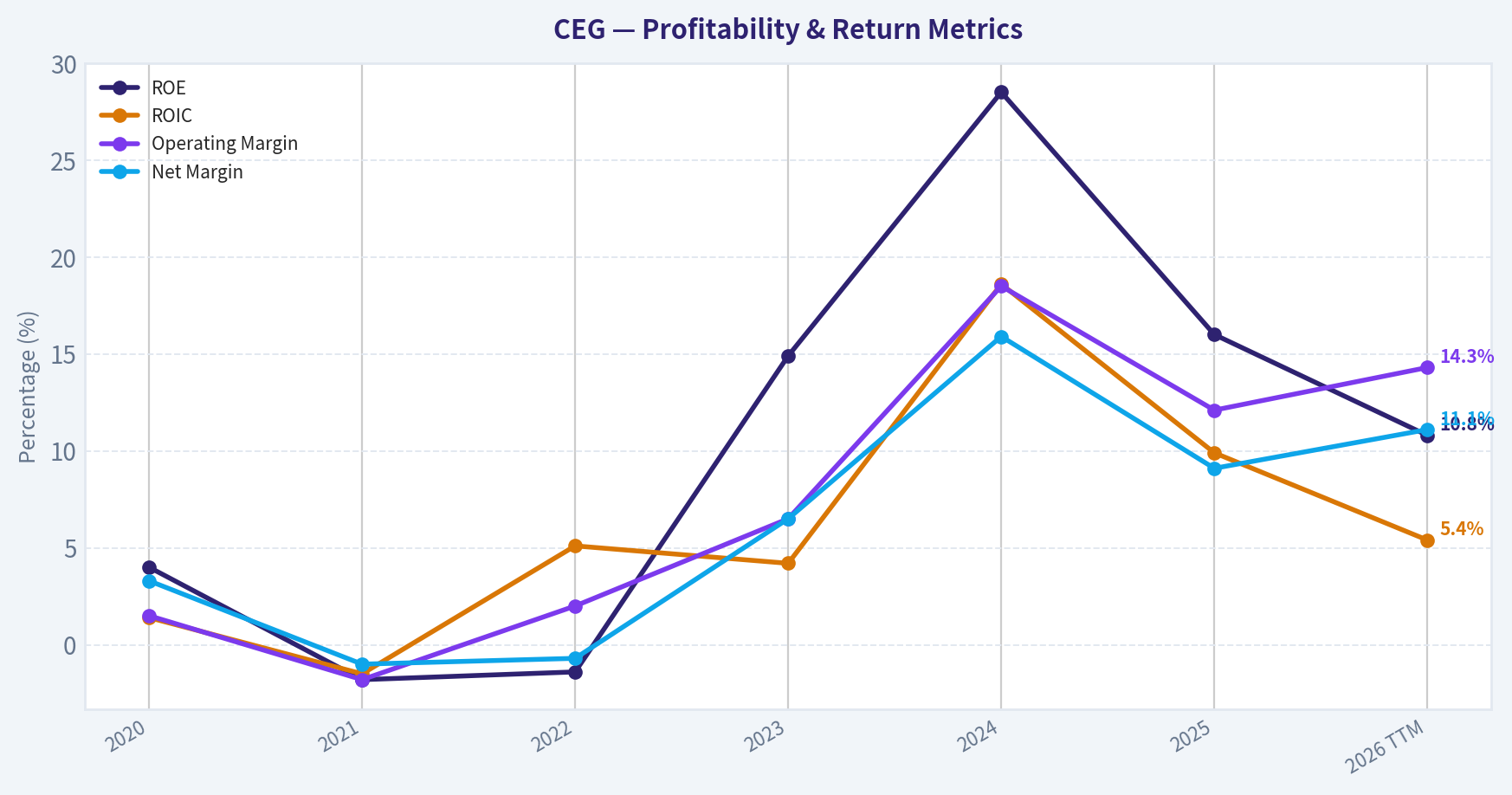 Year Financial Metrics (Profitability)