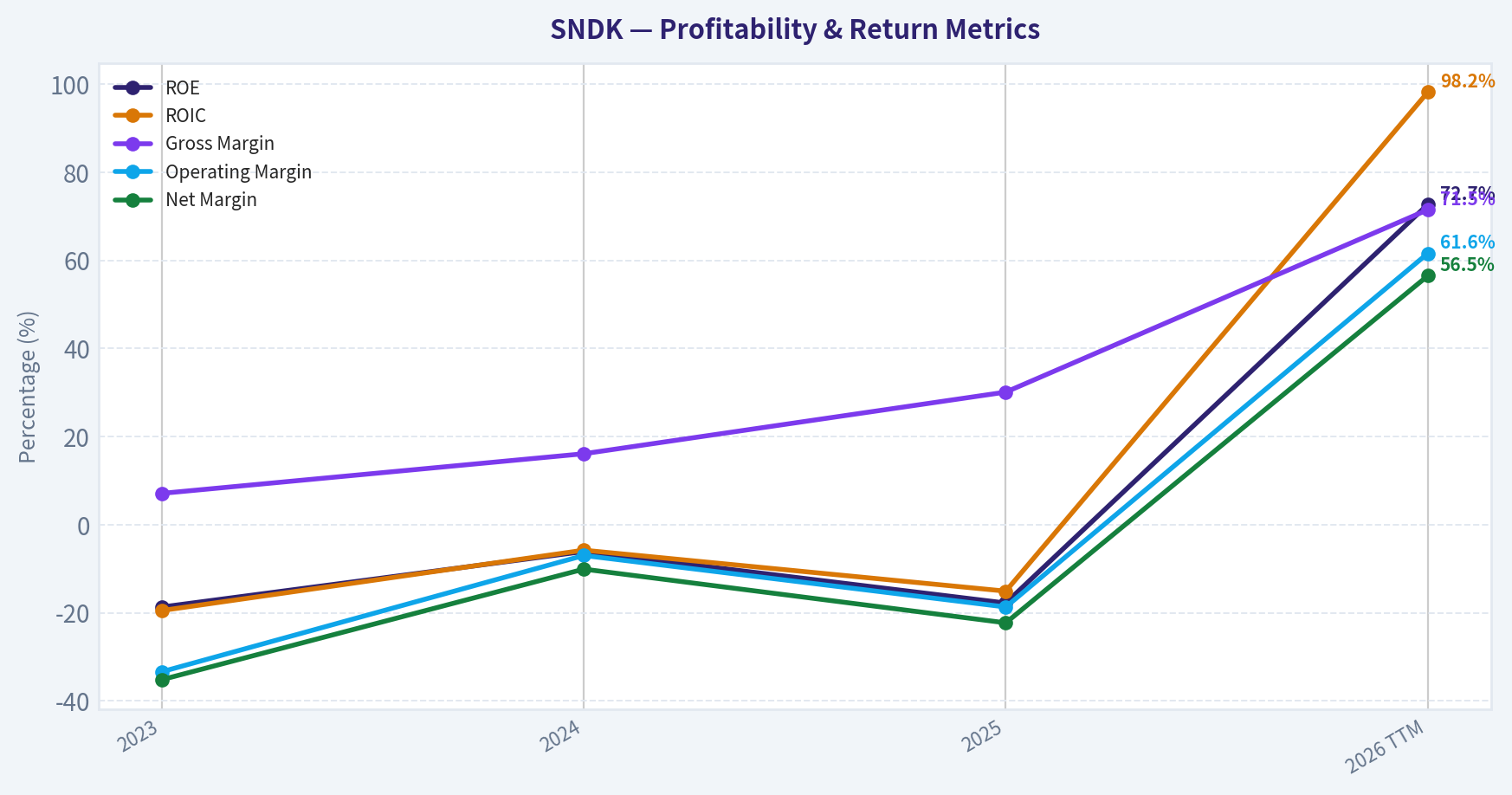 Year Financial Metrics (Profitability)