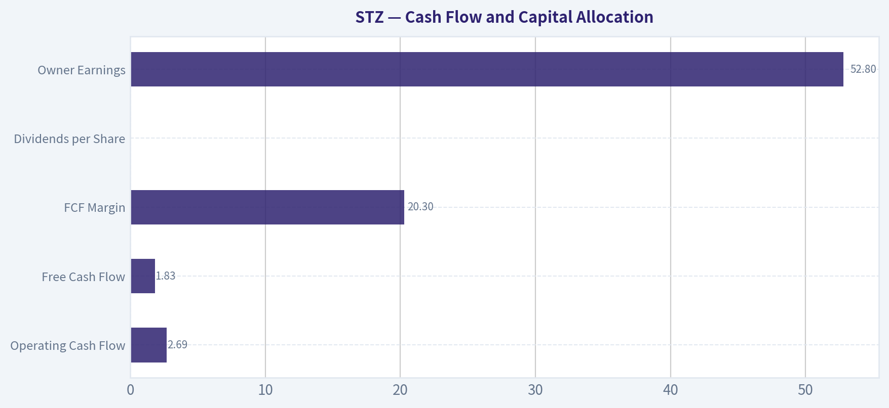 Cash Flow and Capital Allocation