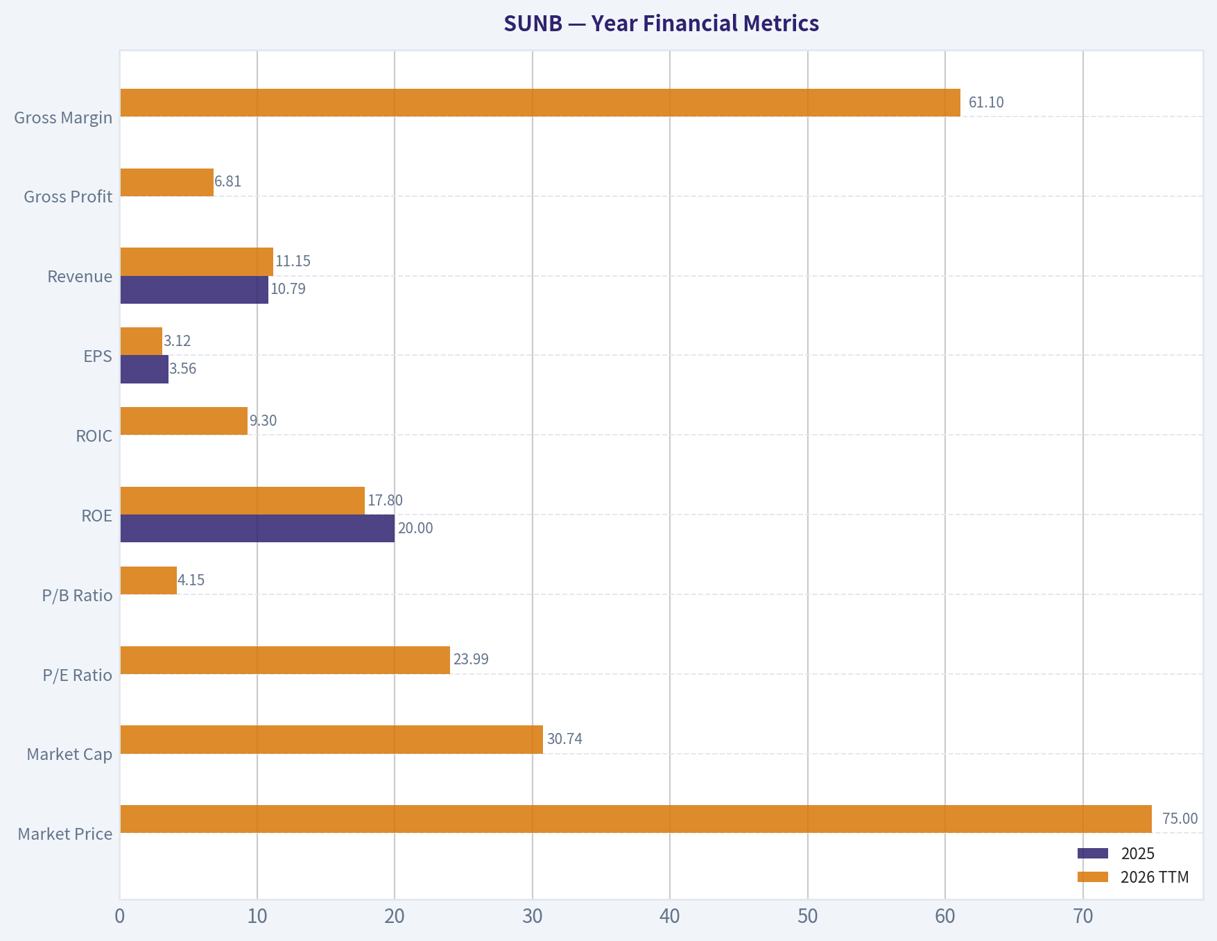Year Financial Metrics